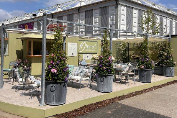 Where to find us 2026 Chelsea 1